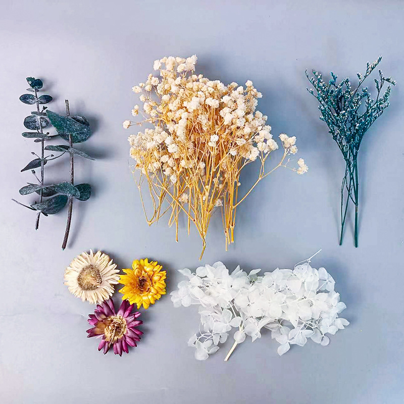 1pack Multifarious Dried Flowe - Craft Embellishment recension och pris